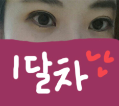 현대미학베스트셀피